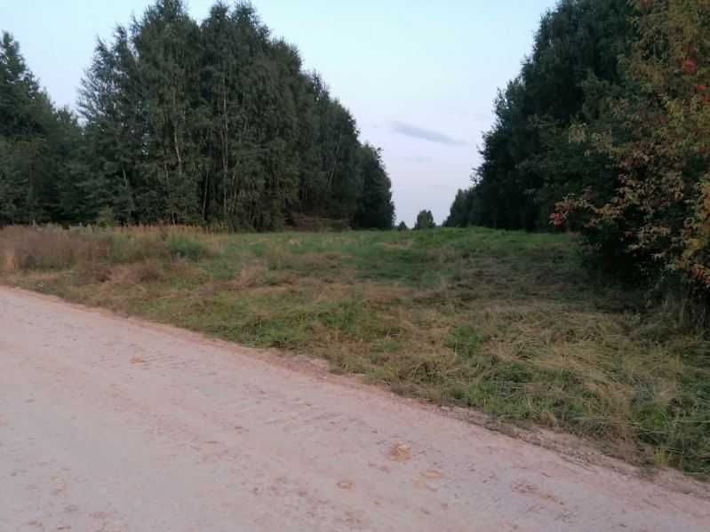 Zdjęcie 2