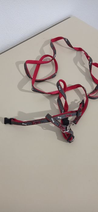 Trela de cão ou gato