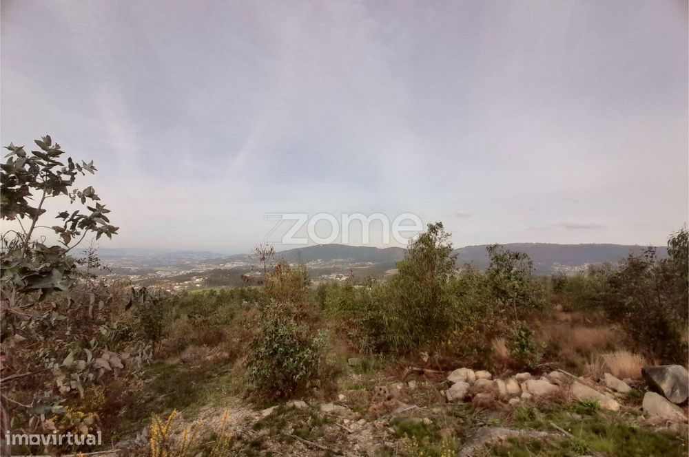 Terreno Florestal sito em Guimarei!
