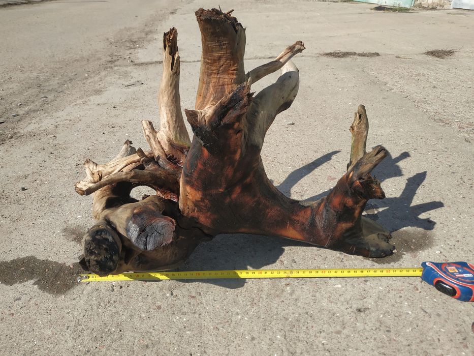 Корч  в  акваріум