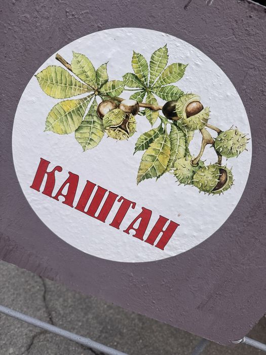 Дача с мостиком для рыбалки