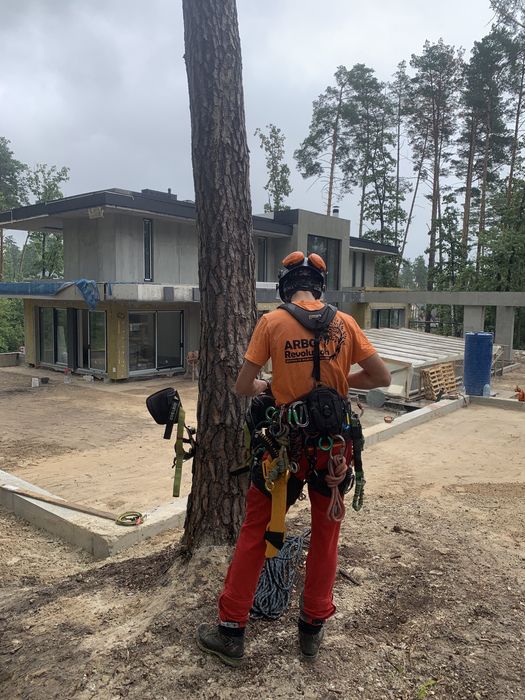 Спил дерев|Зрізання дерев|Корчування пнів|Видалення дерев|Обрізка саду