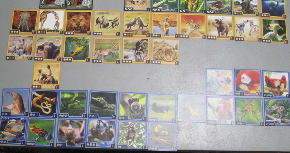 Наклейки карточки Зверокуб Варус (Varus)