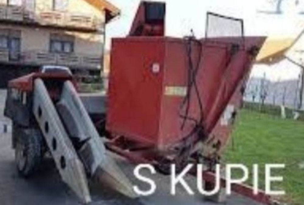 Kukurydza Ccm Kolby