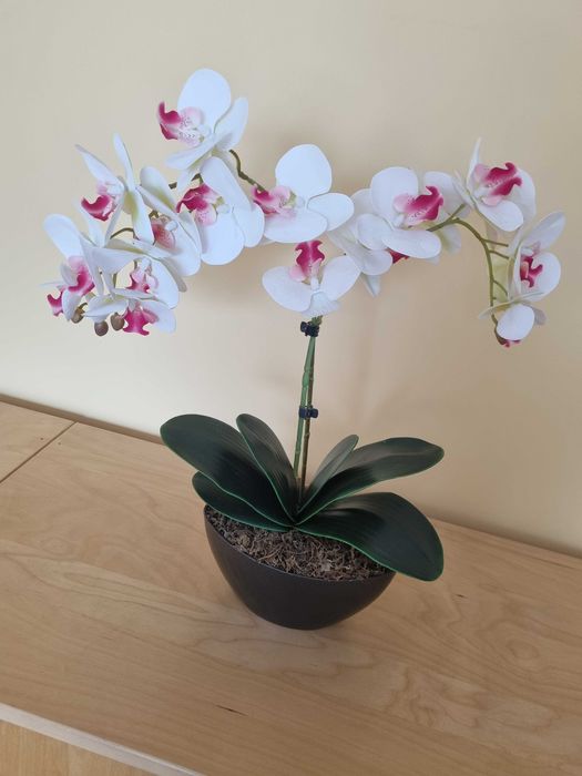 Stoczyk sztuczny w doniczce