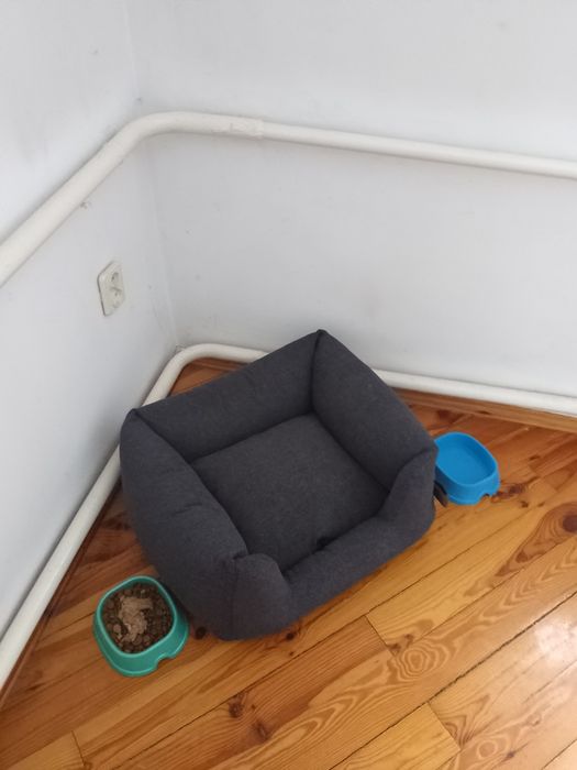 Частный дом. Передержка животных.  Зооотель.  Зоогостинница.