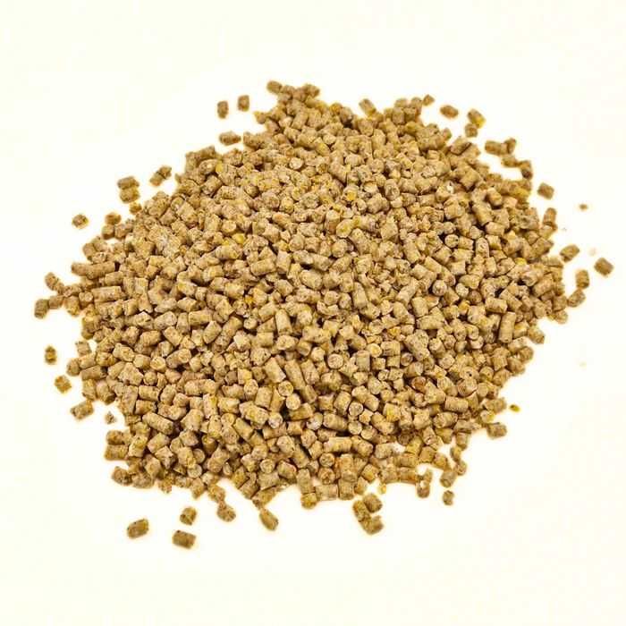 PASZA dla kurcząt GRANULAT DKM-2 - 10 kg KOJPASZ