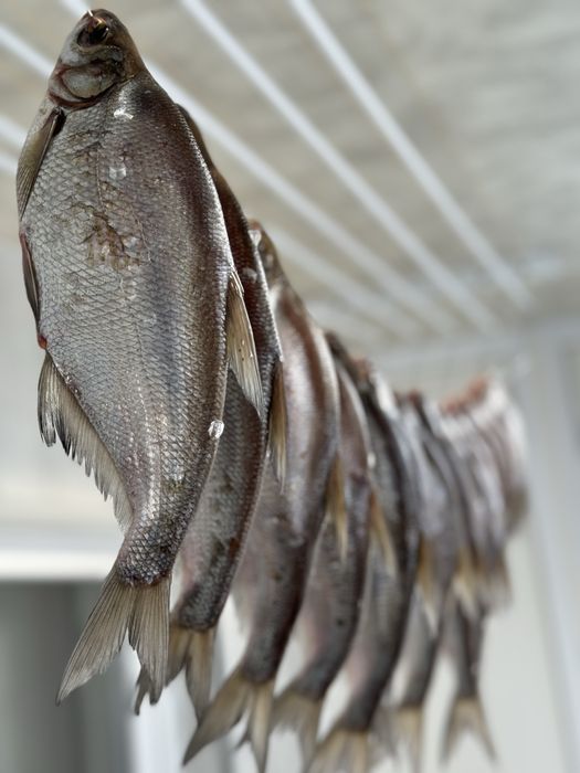 Синець Вʼялена риба Таранка