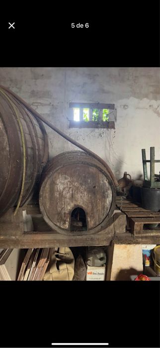 3 pipas antigas de adega em madeira