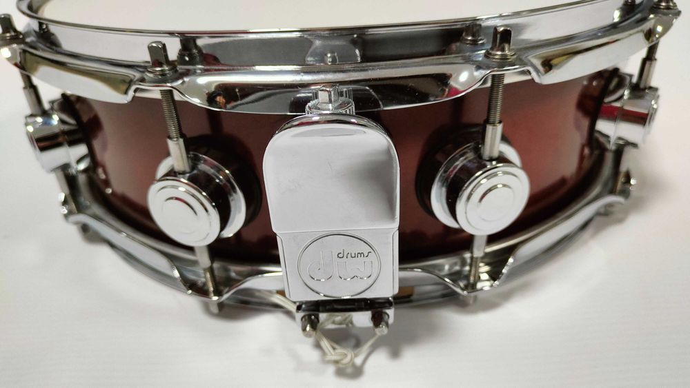 Werbel DW Collectors All Maple Shell 14 x 4,5"