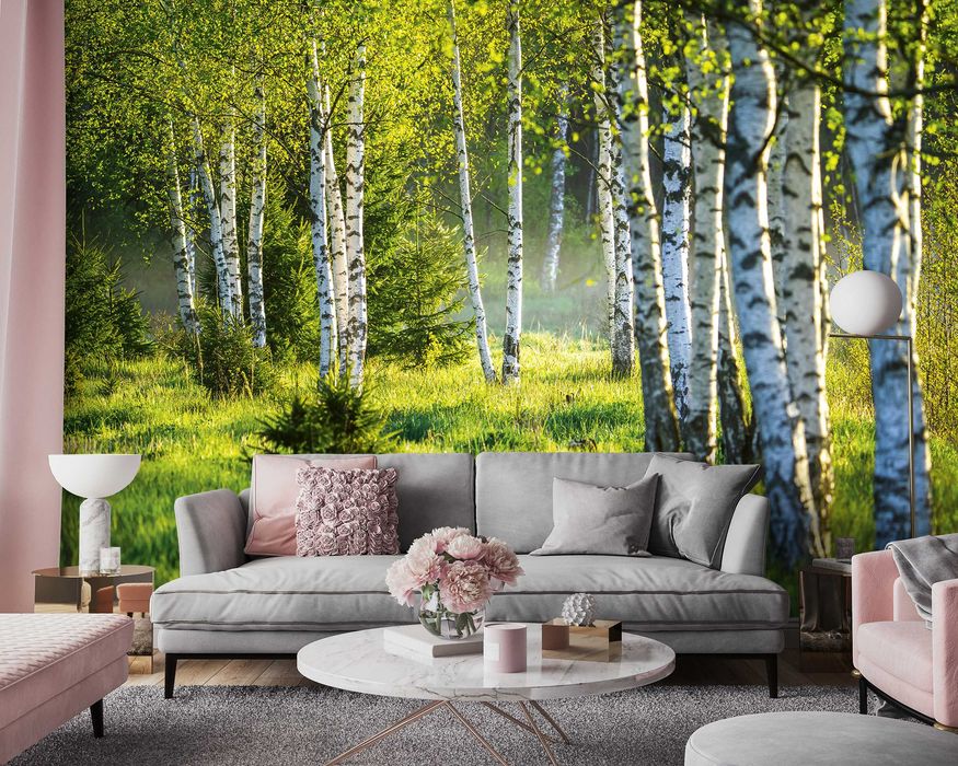 Fototapeta Brzozy Las Natura Widok 3D Na Twój Własny Rozmiar + KLEJ
