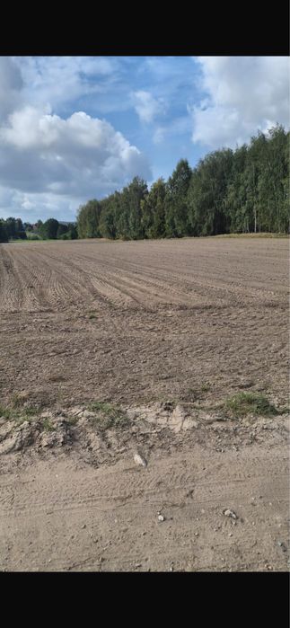 Działka Łomża ul Elbląska Sprzedam 1,36 ha - Widok 3