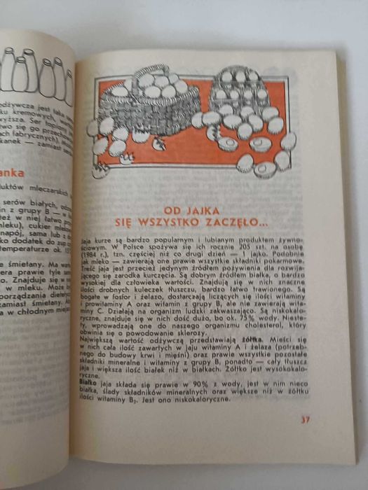 Spiżarnia domowa Anna Gasik