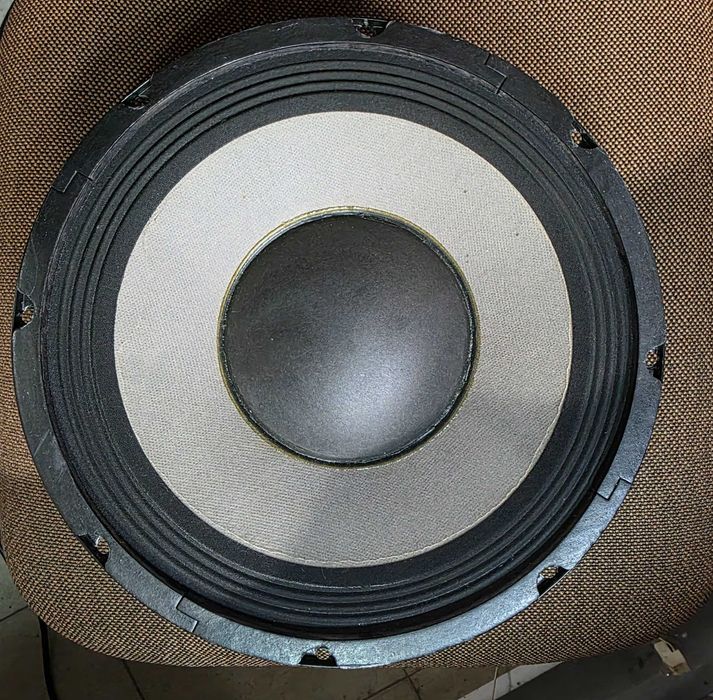 Altifalante da linha profissional