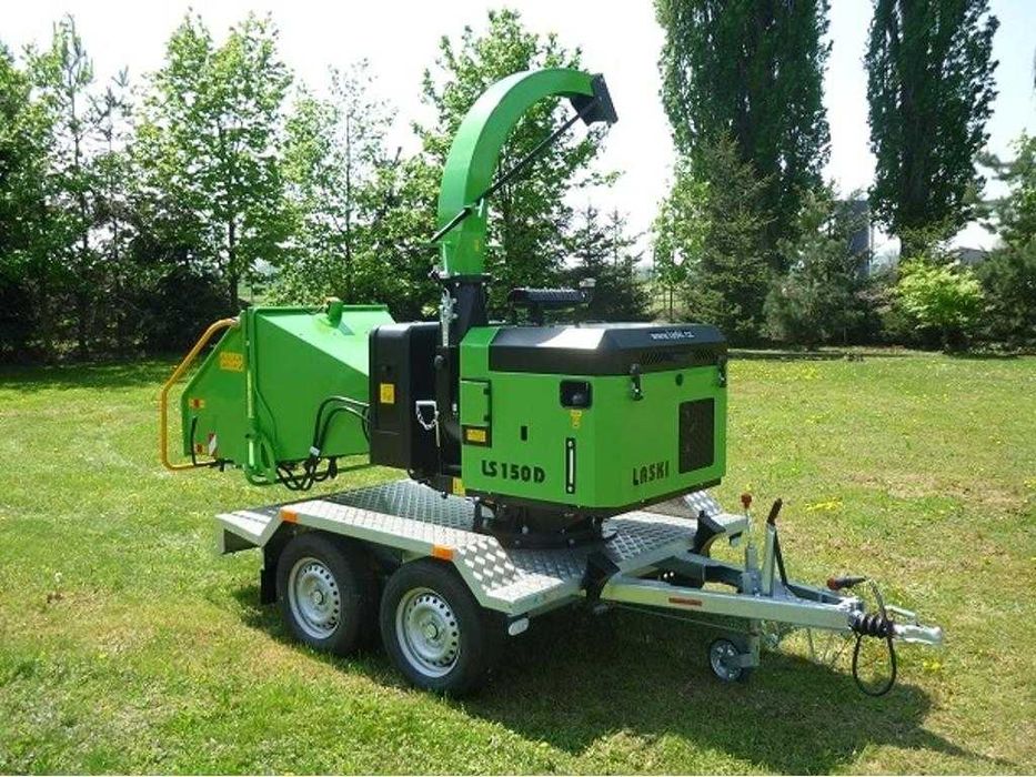 Wycinka samosiejek, usługi porządkowe