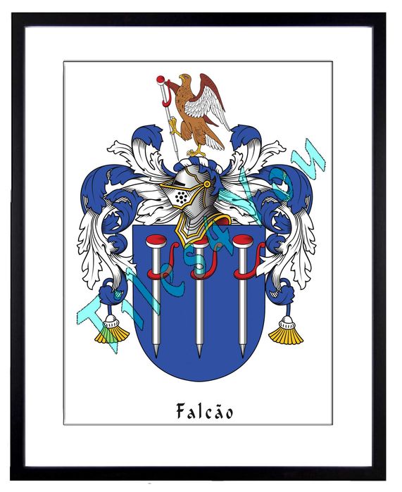 Brasões de armas de famílias portuguesas.