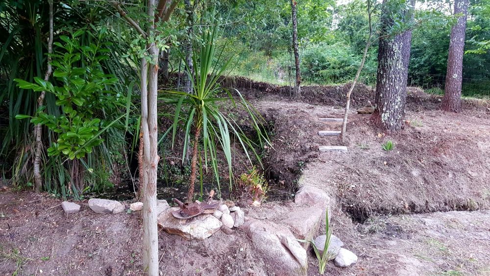 Rústico, com cerca de 7.500 m2 ou mais