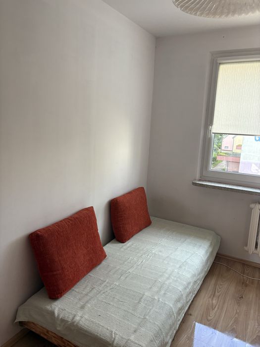 Wynajme mieszkanie studenckie