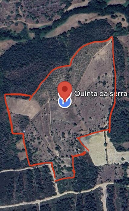 Monte totalmente vedado 12 ha. Aluguer ou venda pela melhor oferta.