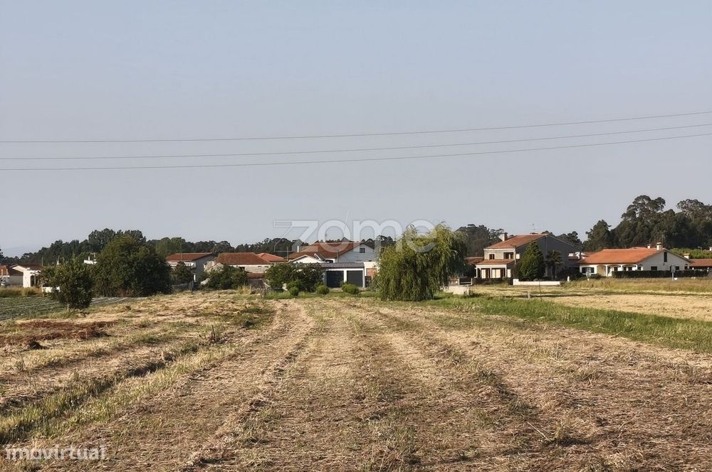 Terreno com 2528 m2 urbanizável - Lombomeão, Vagos