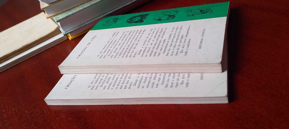 Criação de Cães - Manuel Castelo Branco