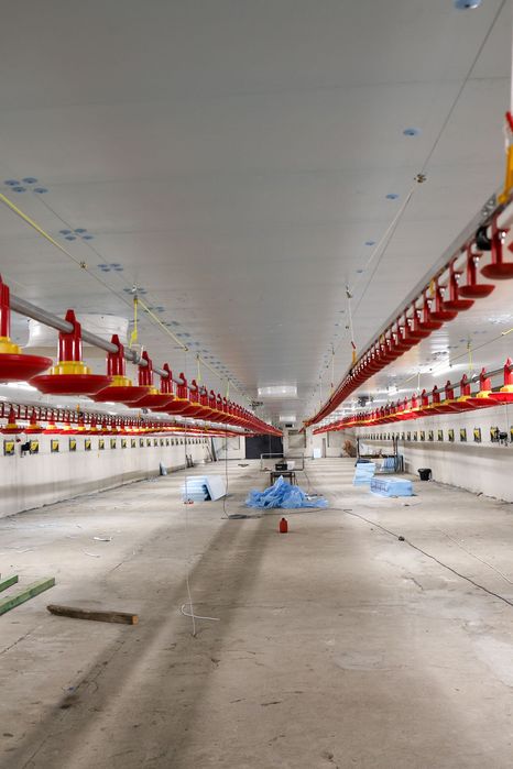 Styrodur XPS AGRO Ocieplenie Dachu Fermy Drobiu Obory Tuczarni Chlewni