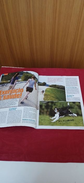 Cães & Companhia de 2009