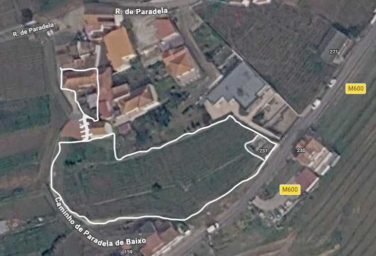 Douro – Vineyard property and house with wine cellar