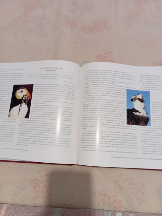 Livro Celebração dos Mares