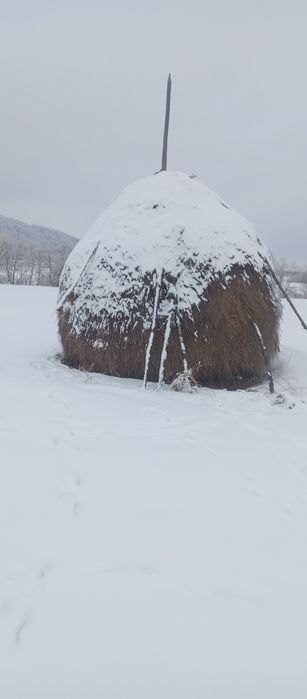 Продається сіно в копиці