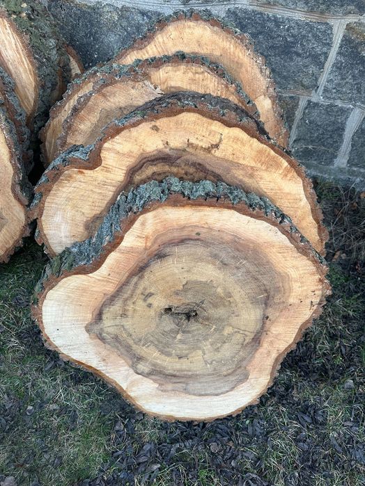 Drewno Wiąz świeżo cięte duże plastry handmade żywica