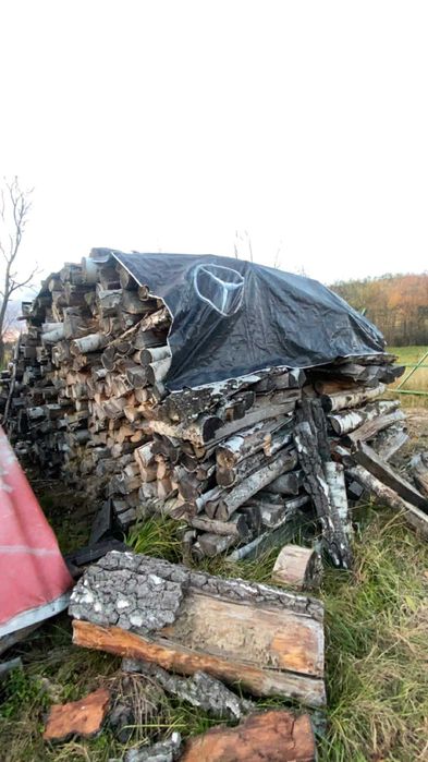 Drewno kominkowe brzoza suche