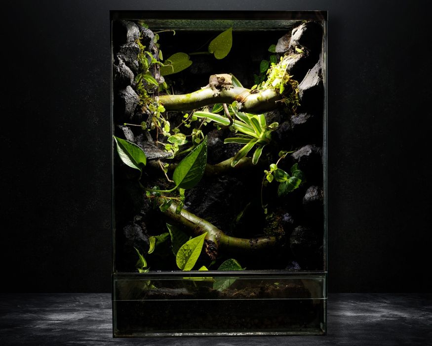 Terrarium tropikalne 40x40x60 gekon