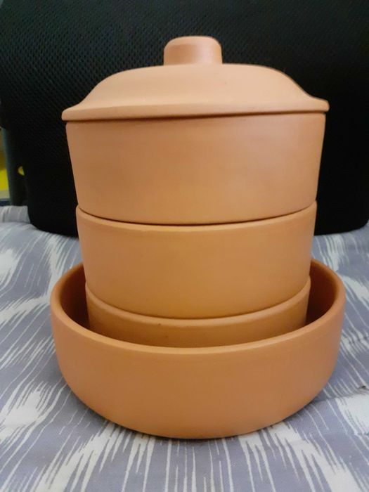 Germinador de sementes em barro