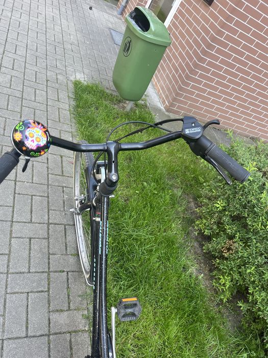 Rower damski Kalkhoff