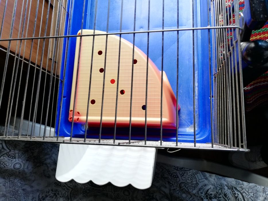 Cerca para animais
