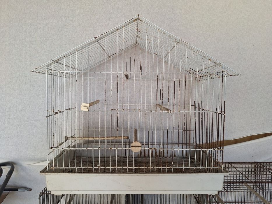 Gaiolas pássaros