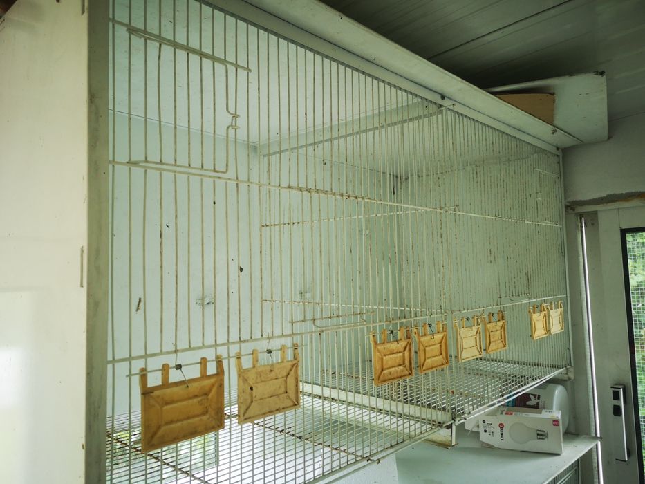 Vendo gaiolas voadeira