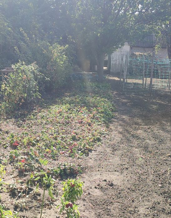 Продам в Харківській  обл, м.Балаклії 1/2 частку часного будинка