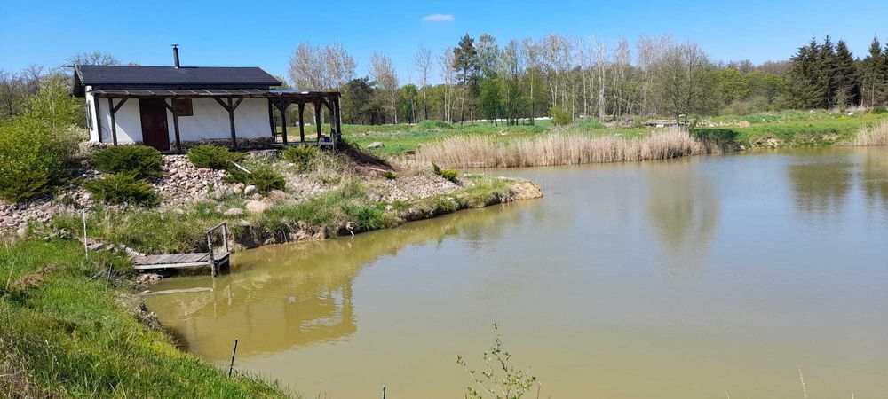 Działka rekreacyjna