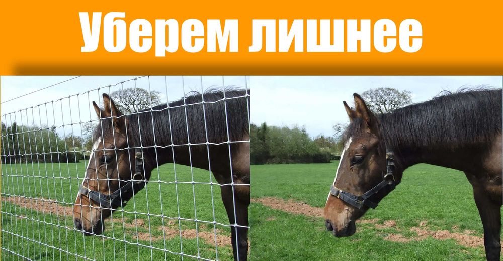 Послуги у редагуванні фотографій/УСЛУГИ ФОТОШОП/ФОТОШОП/PHOTOSHOP