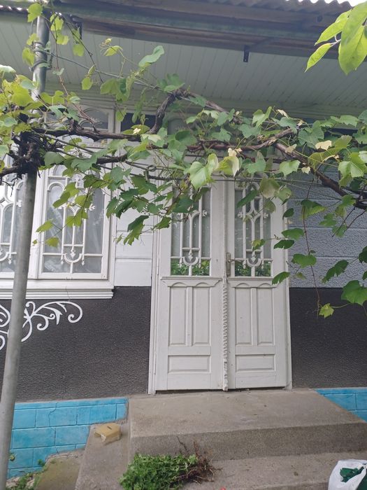 Продається господарство в Дністровському районі