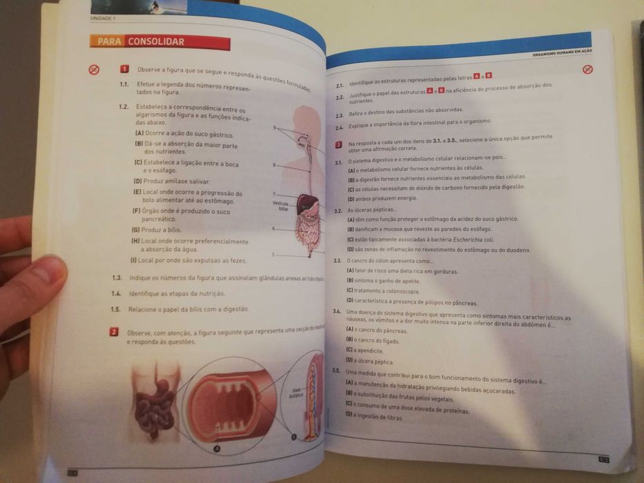 Compreender o Corpo Humano - Ciências Naturais - 9.º Ano + Caderno