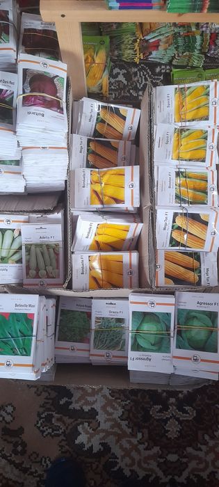 Семена овощей голандское насіння голандське якісне краща ціна