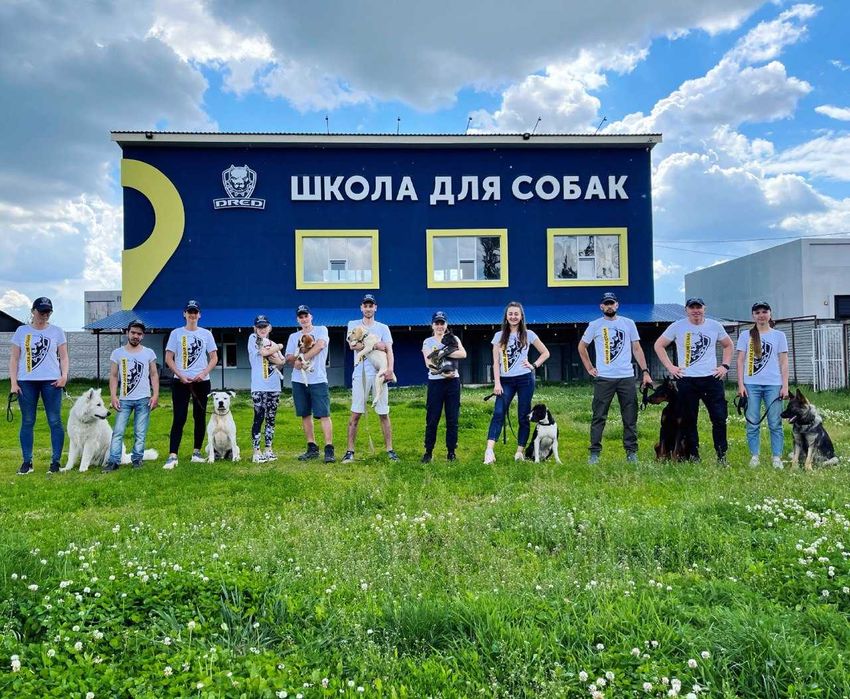 Школа собак виховання Собак Умань з проживанням кінолог