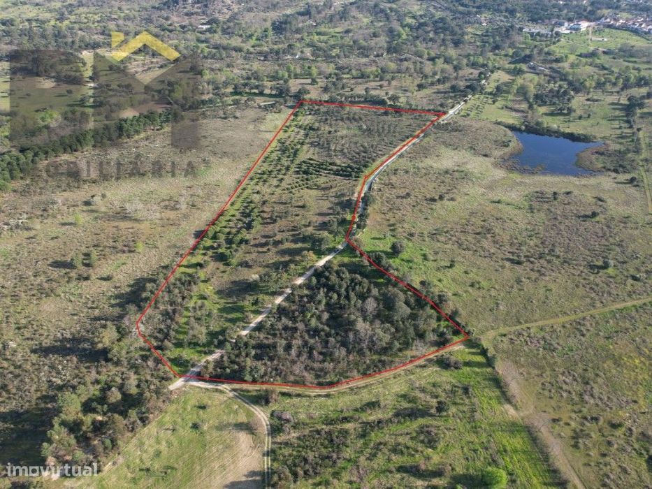 Terreno de 5,3 Hectares na Aldeia de Águas - Penamacor