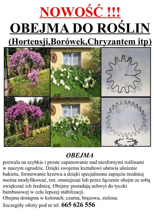 Obejma do roślin 30szt zielona