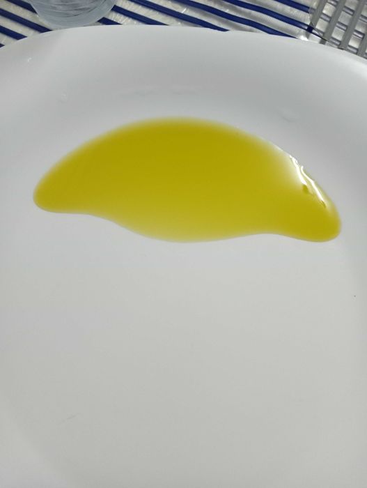 Azeite puro da região de Lamego de produção própria (preço por litro)