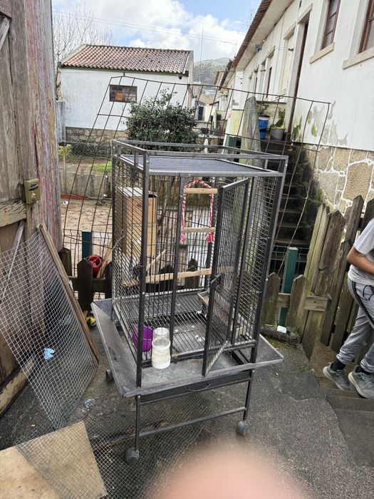 Gaiola para papagaio