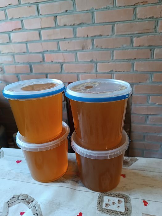 Продам Свіжий мед, свіжовикачаний мед